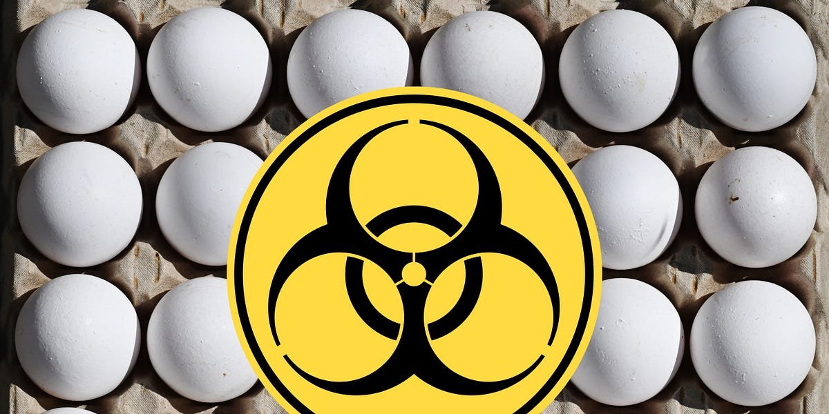 RFK Jr. May Have Just Ruined Our Best Weapon Against Bird Flu