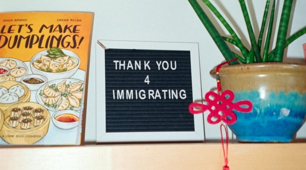 Immigration Is Positive-Sum